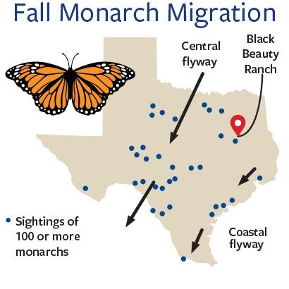 Fall monarch migration map