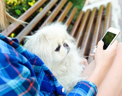 Woman holding dog and cell phone