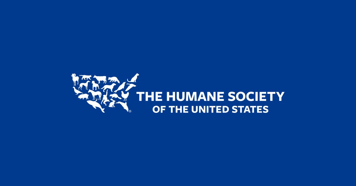Make A Disaster Plan For Your Pets The Humane Society Of The United States