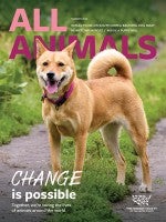 Cover of All Animals Magazine Summer 2024 Issue showing a dog outside.