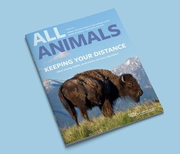 Cover all All Animals Summer 2023 Issue