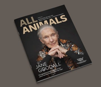 Cover of All Animals Magazine Winter 2024 Issue