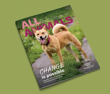 Cover of All Animals Magazine Summer 2024