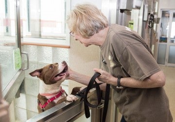 Woman volunteer at a shelter with a happy dog.