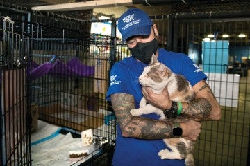 Adam Parascandola, vice president of the animal rescue team, handles a cat.