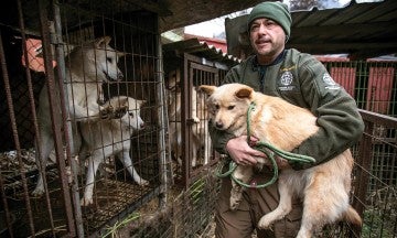 Adam Parascandola, Director of Animal Protection and Crisis Response of Humane Society International (HSI), rescues Ava at a dog meat farm.
