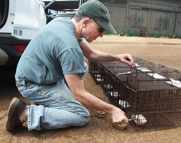 Neighborhood Cats’ Bryan Kortis putting food in cages.