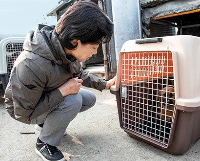 Woman bending down, looking in a dog crate at a dog. 