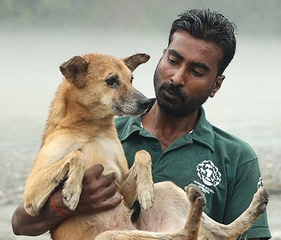 A bearded man holds a rescued dog