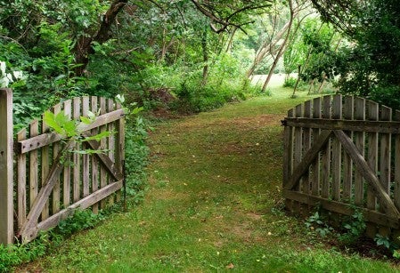 open gate leading into a lush green garden