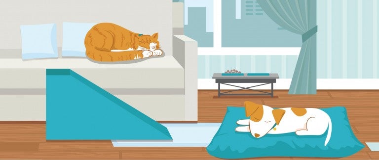 Illustration of a geriatric cat and dog in a home